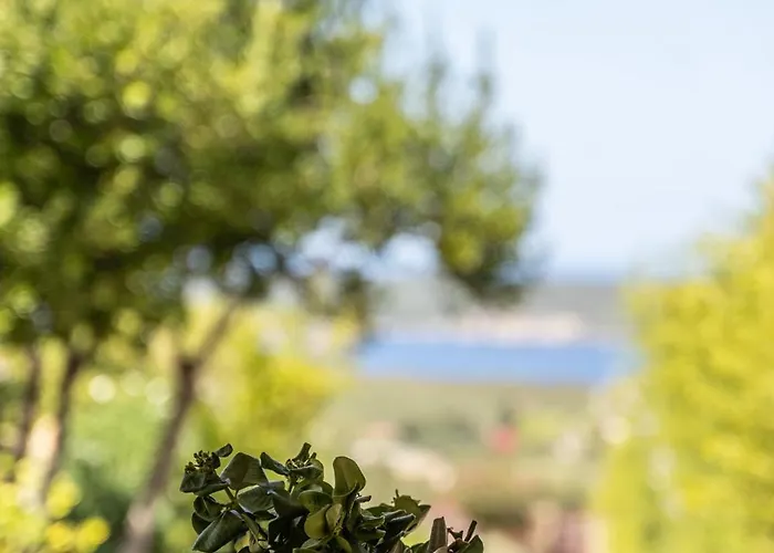 Blue Alpesi faház *